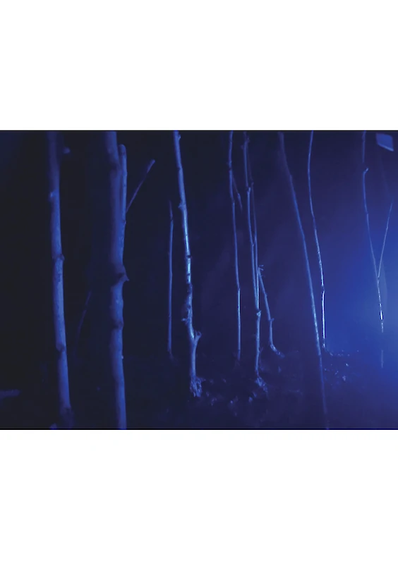 Main Shot: Photograph of the built model scene (based on the visual aesthetics of “Suspiria”, directed by Dario Argento, Italy, 1977)