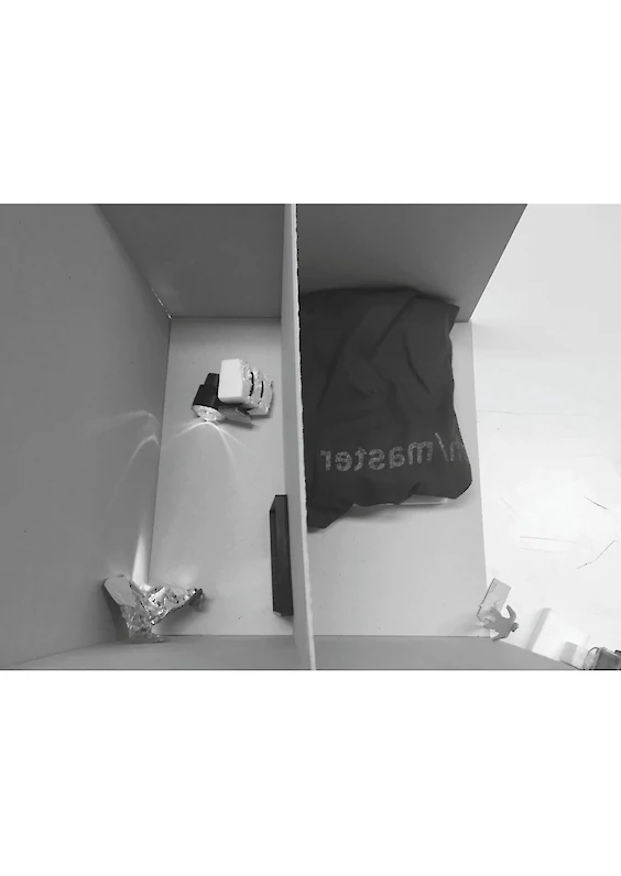 Making-of: Imagined model scene