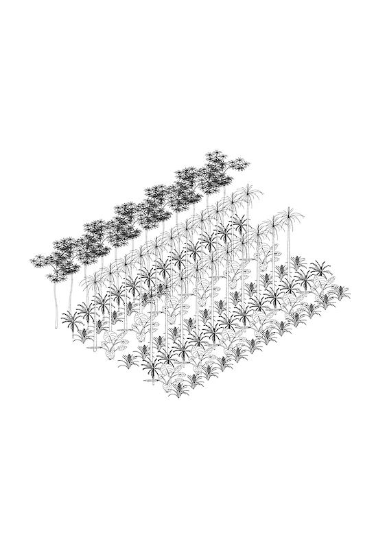 Title: FASCIST-JUNGLE