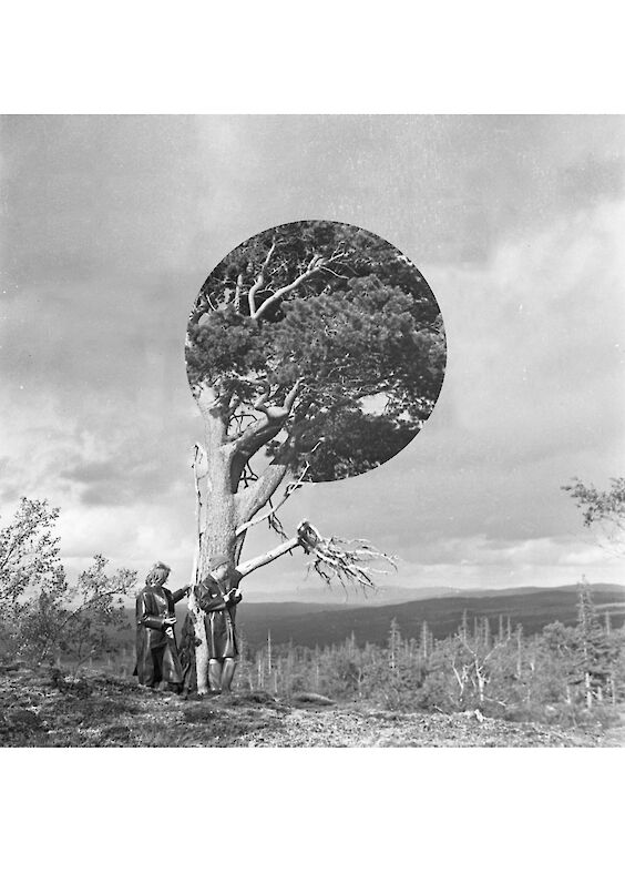 Series: Regulated Realities