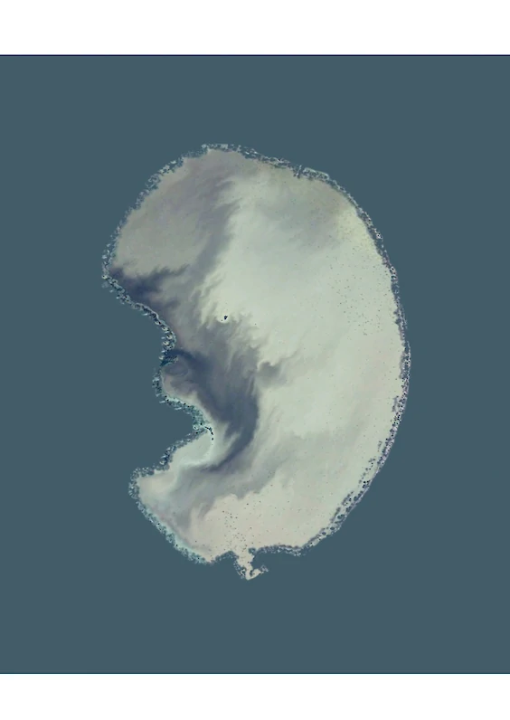 Series: Extracted Realities