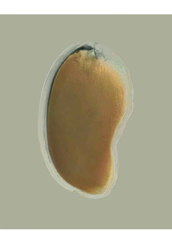 Series: Extracted Realities