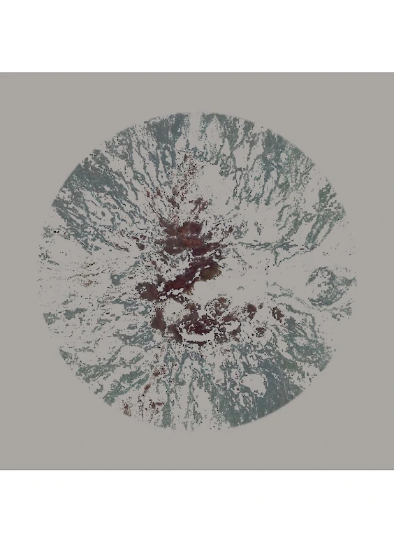 Series: Extracted Realities