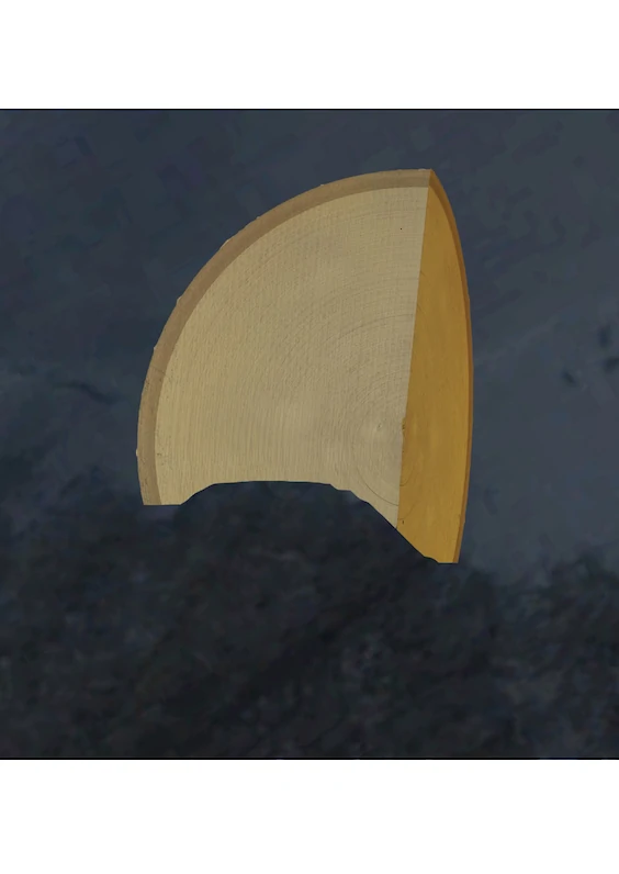 Series: Sampled Realities