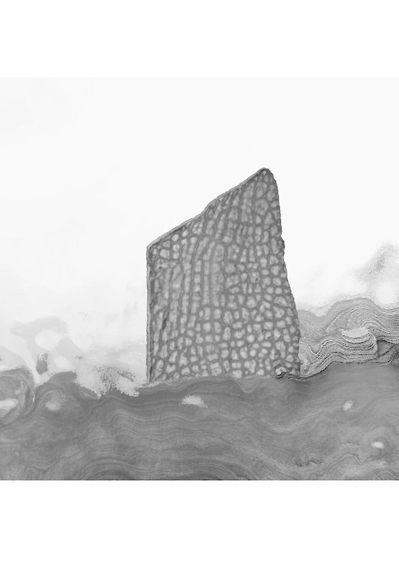 Series: Sampled Realities