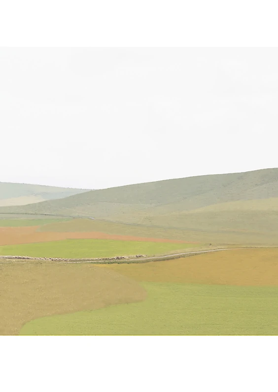 Series: Cleaned Realities