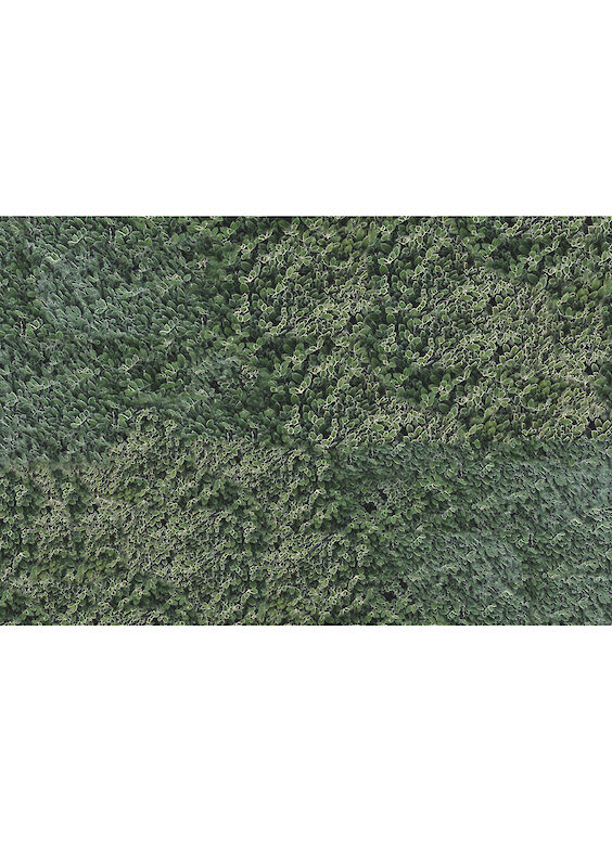 Series: Cleaned Realities