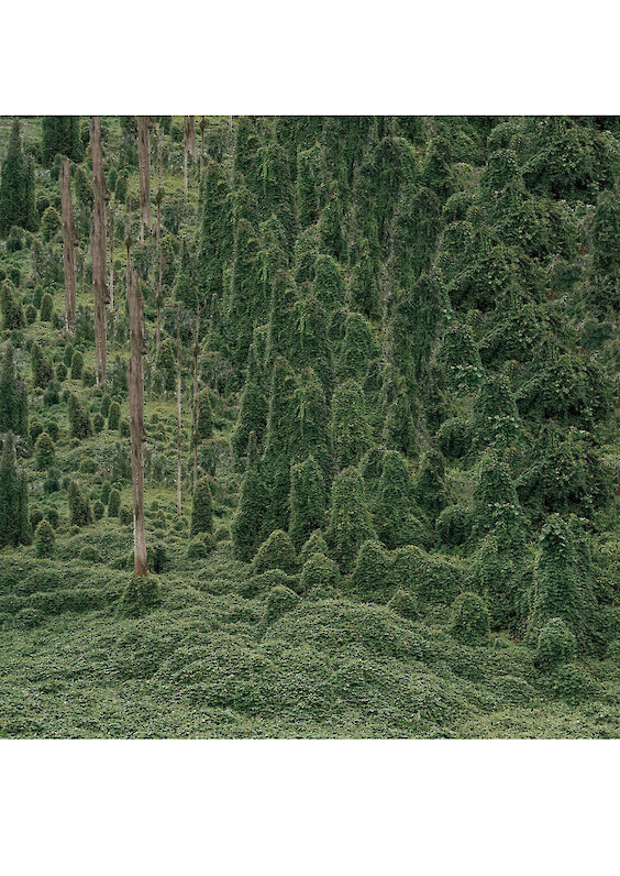 Series: Cleaned Realities