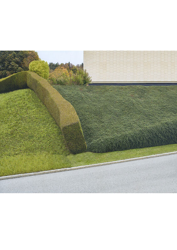 Series: Cleaned Realities