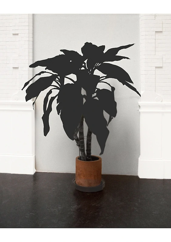 Series: Cleaned Realities