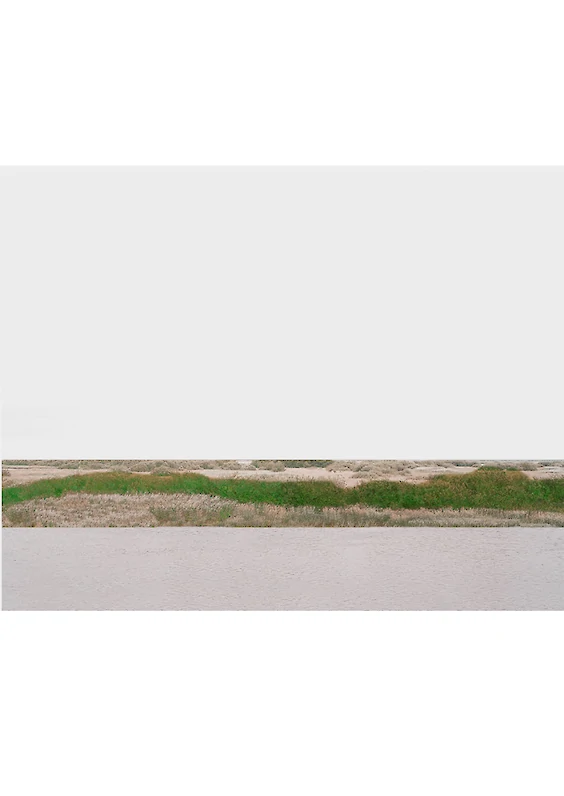 Series: Suppressed Realities