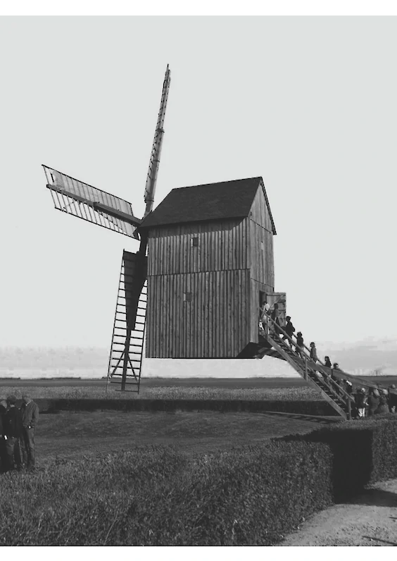 Series: Suppressed Realities