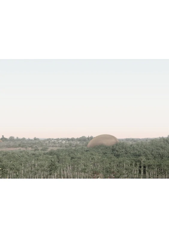 Project: VERNACULAR MECANIC TOBACCO FARM; Perspectival view