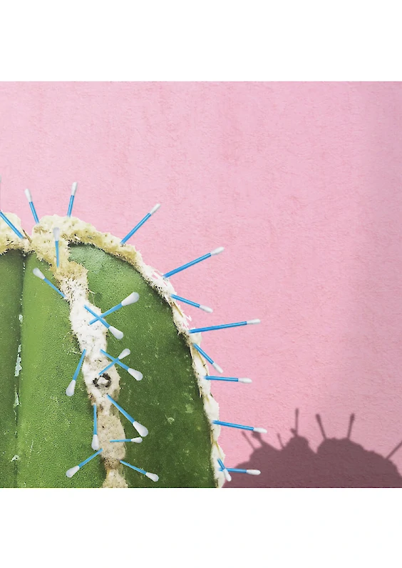 Title: CACTUS