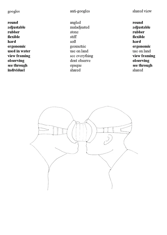 GOOGLES: Reconfiguration & visual interpretation