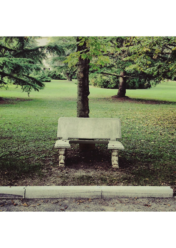 Title: BENCH
