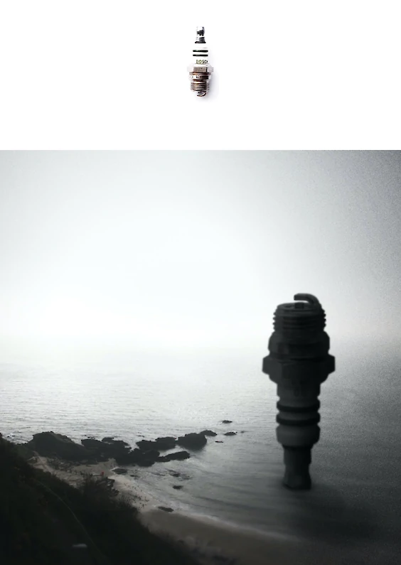 Selected object and pictorial re-embedding