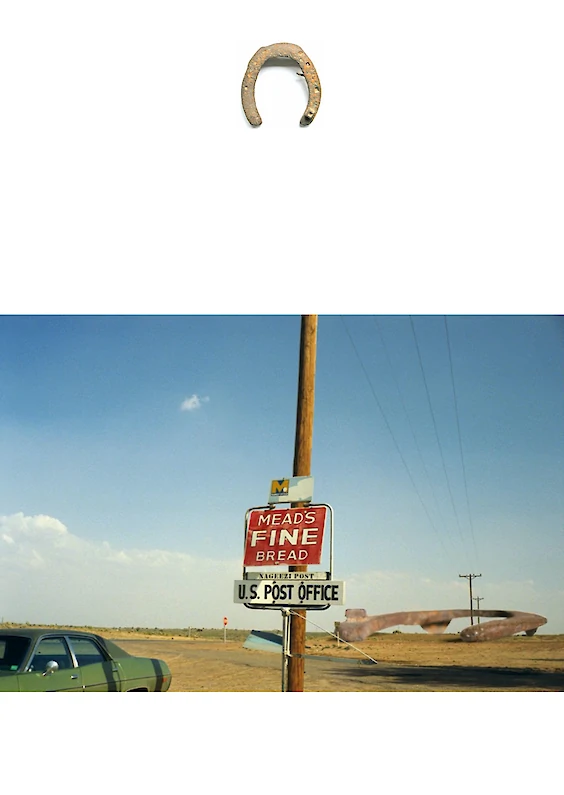 Selected object and pictorial re-embedding