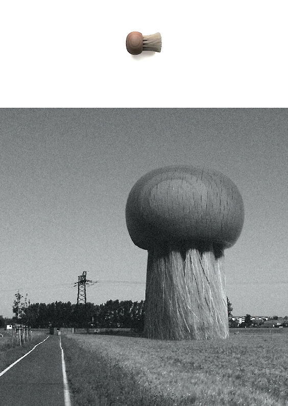 Selected object and pictorial re-embedding