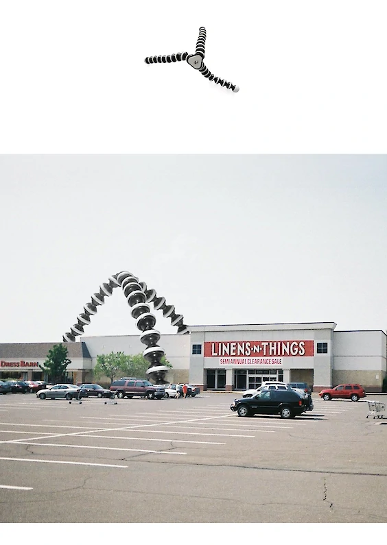 Selected object and pictorial re-embedding