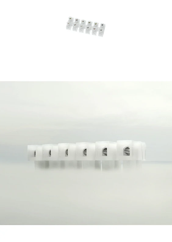 Selected object and pictorial re-embedding