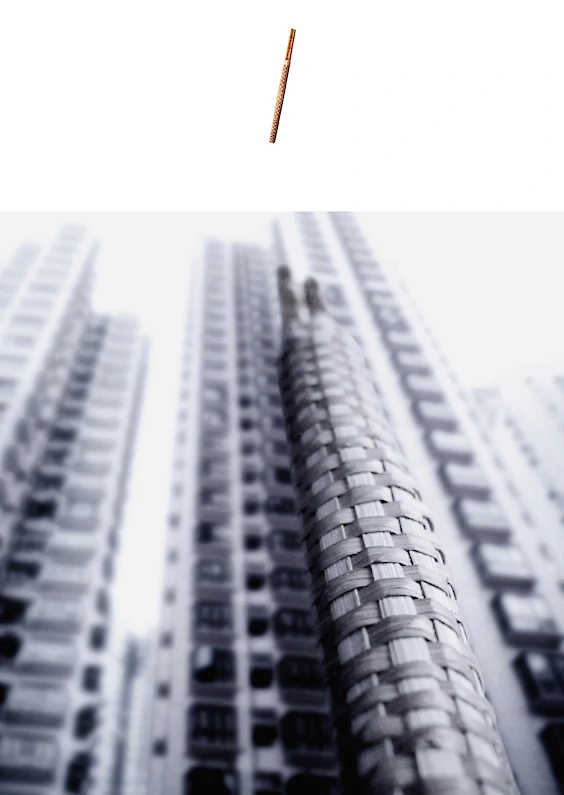 Selected object and pictorial re-embedding