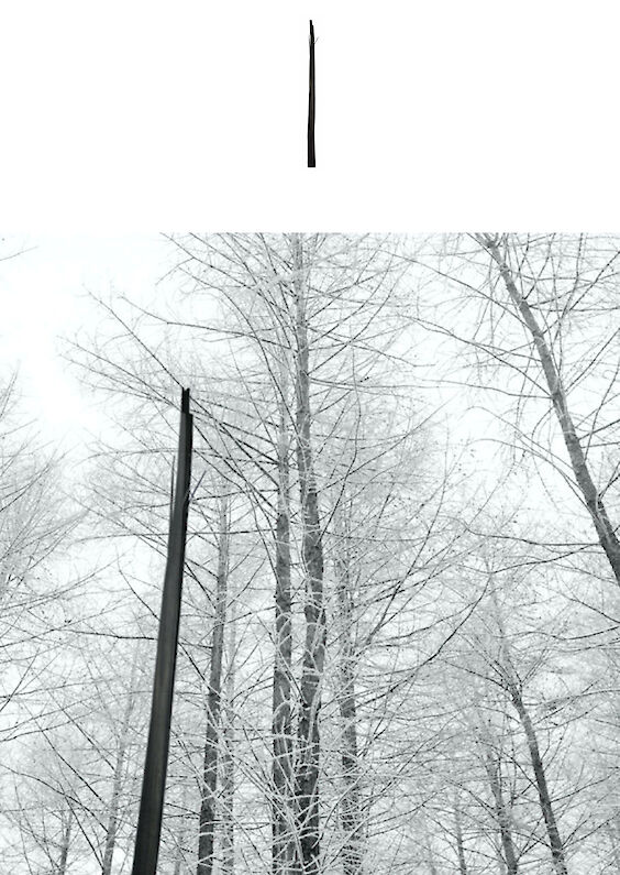 Selected object and pictorial re-embedding