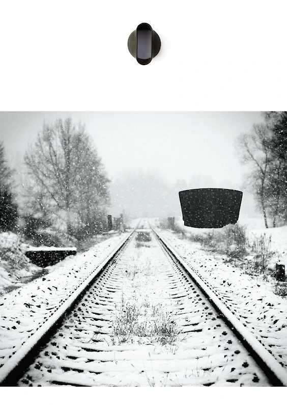 Selected object and pictorial re-embedding