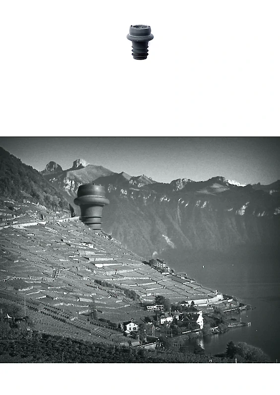 Selected object and pictorial re-embedding