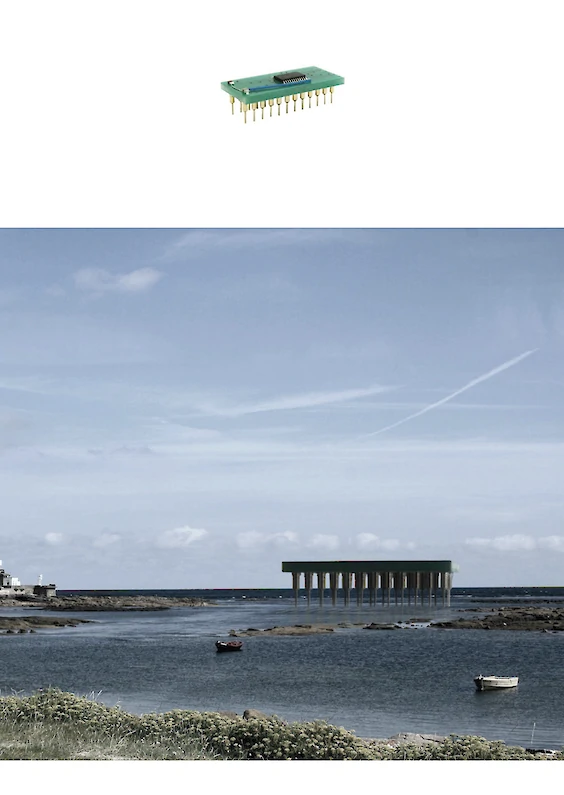 Selected object and pictorial re-embedding