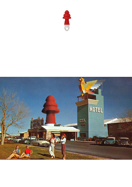 Selected object and pictorial re-embedding