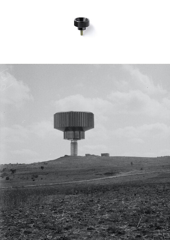 Selected object and pictorial re-embedding