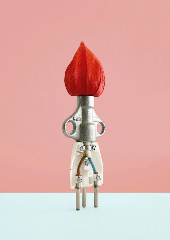 Image: Composed Sculpture