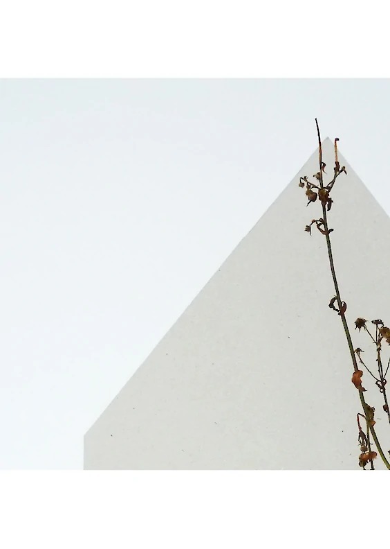 Inserted Volumetry B13