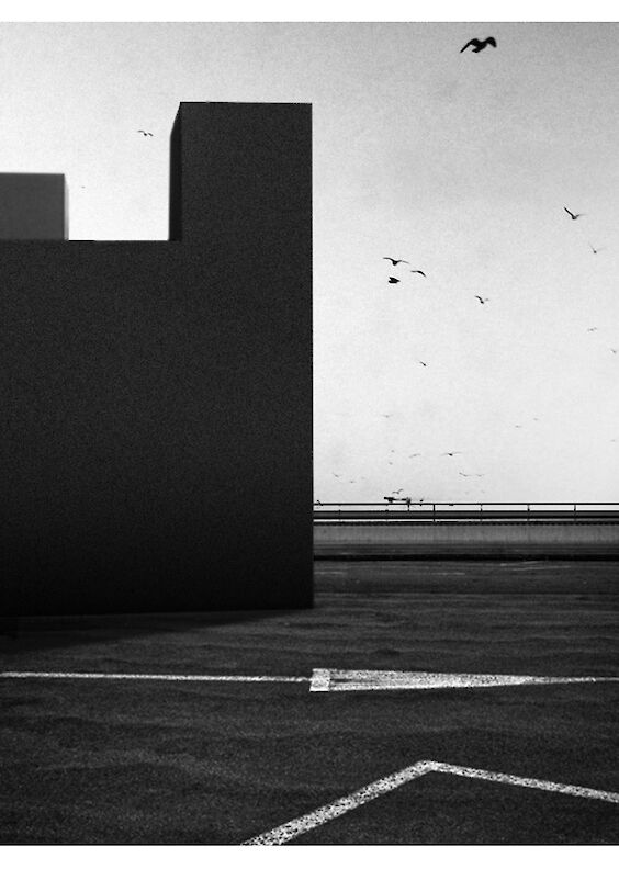 Inserted Volumetry B8