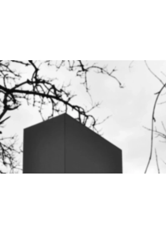 Inserted Volumetry B19